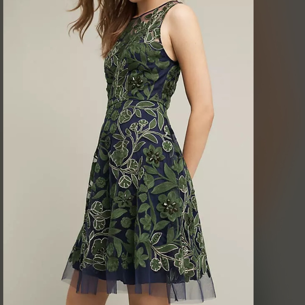 NWOT Anthropologie Embroidered Fern Dress Sz 4 Pankaj Nidhi Z259-7 - Picture 2 of 4
